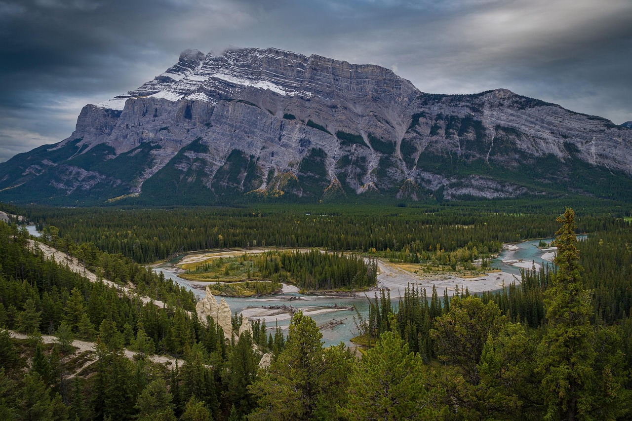 Hayden Valley